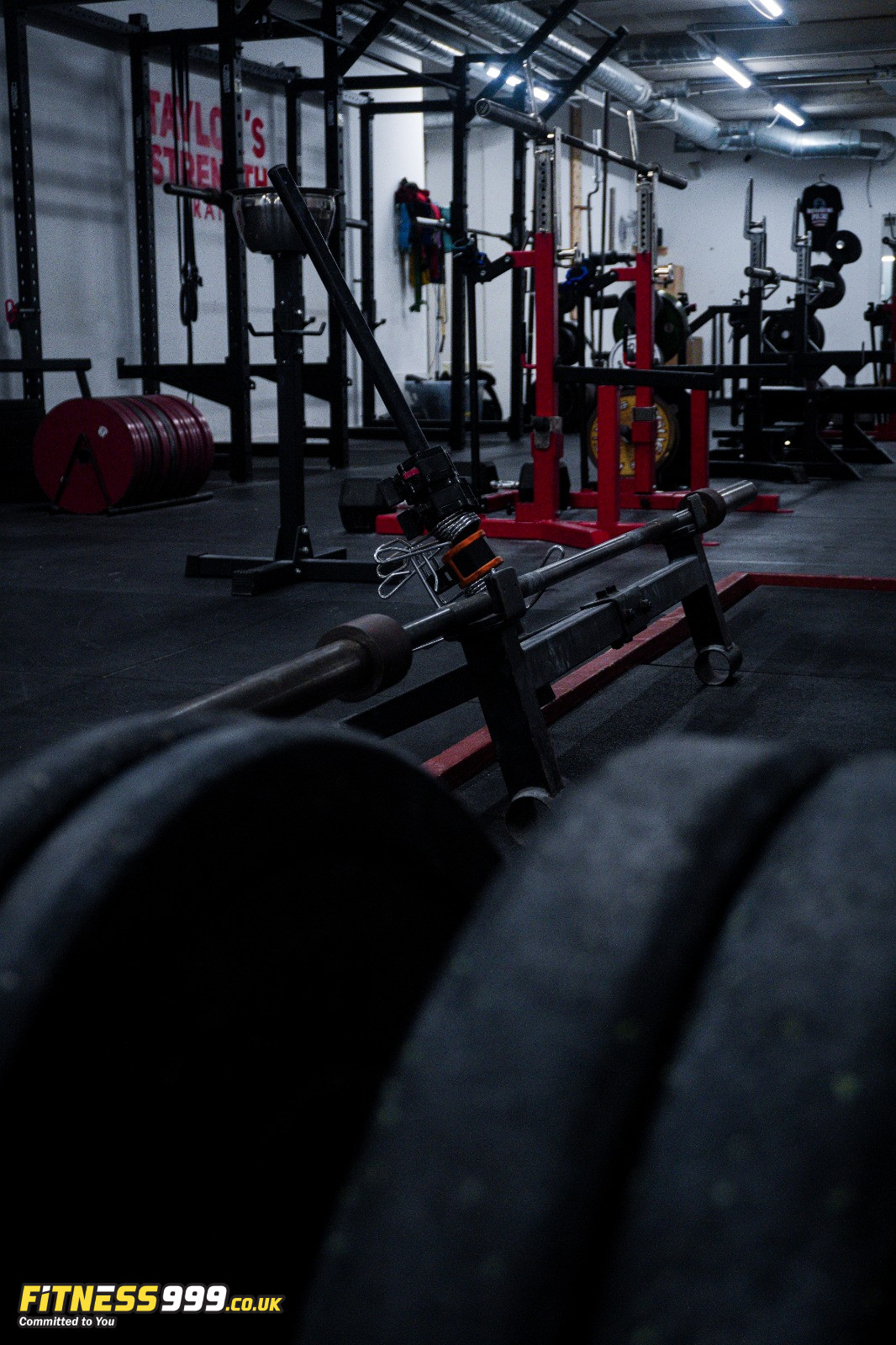 Josh's Training Space